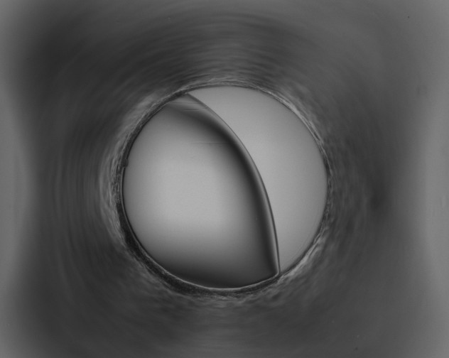 X0000088150193200705141058