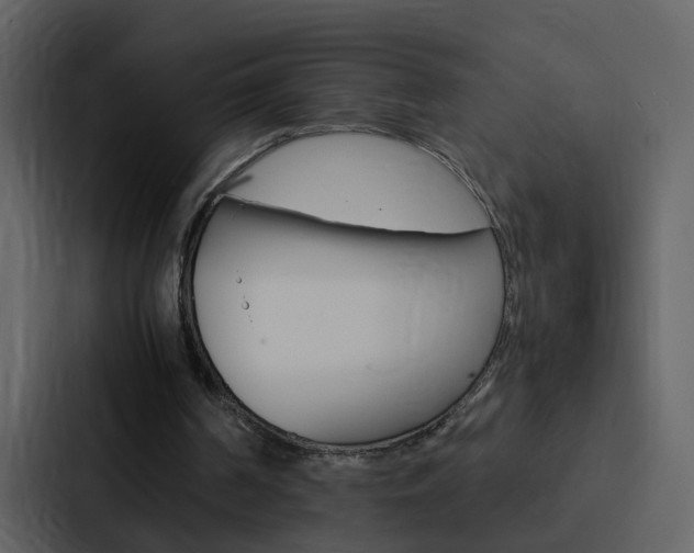 X0000088150194200705141058