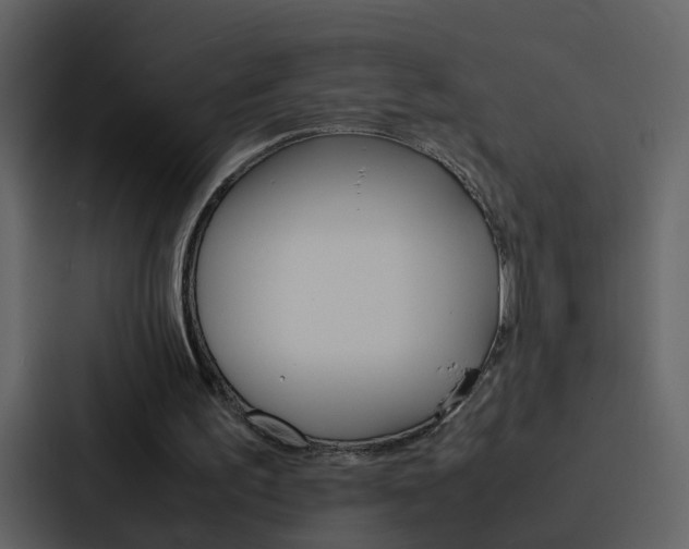 X0000088150195200705141058