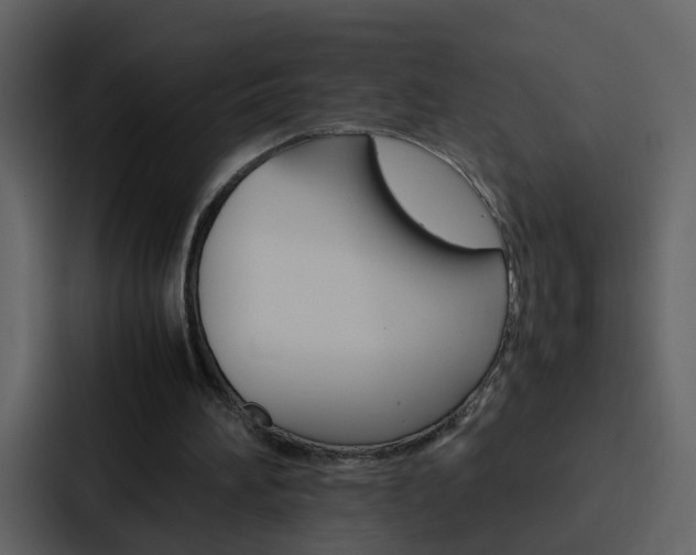 X0000088150196200705141058