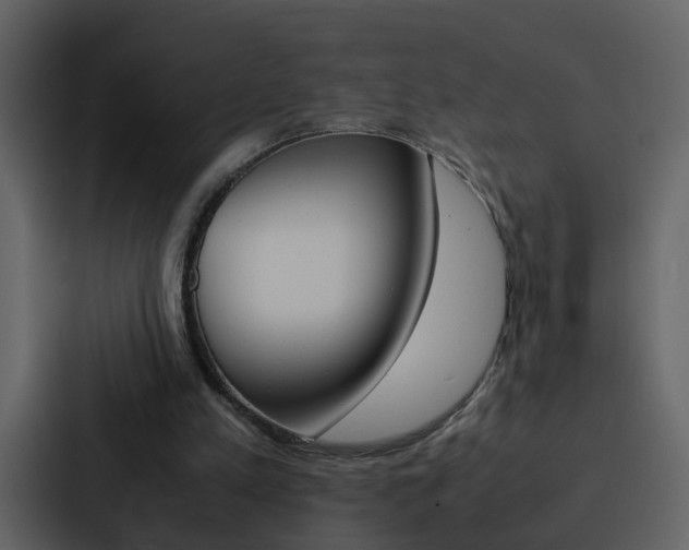 X0000088150197200705141058