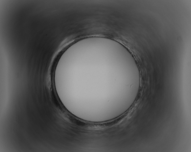 X0000088150198200705141058