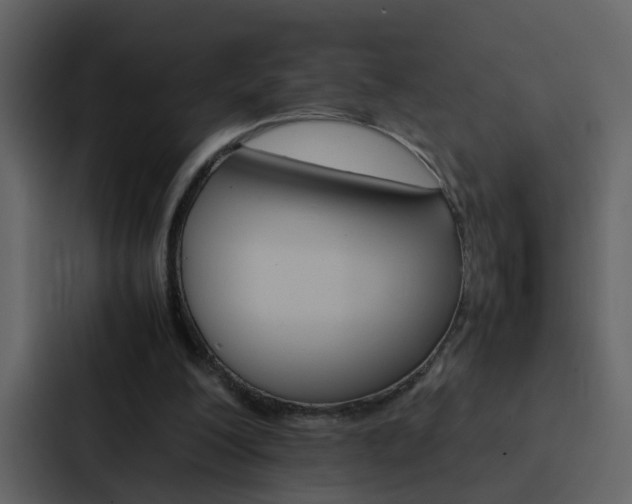 X0000088150200200705141058