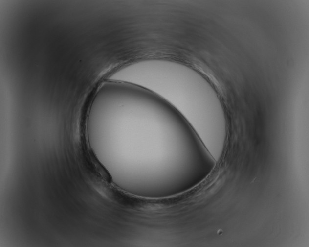 X0000088150203200705141058