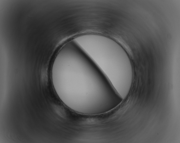 X0000088150204200705141058