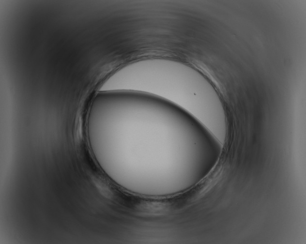 X0000088150205200705141058