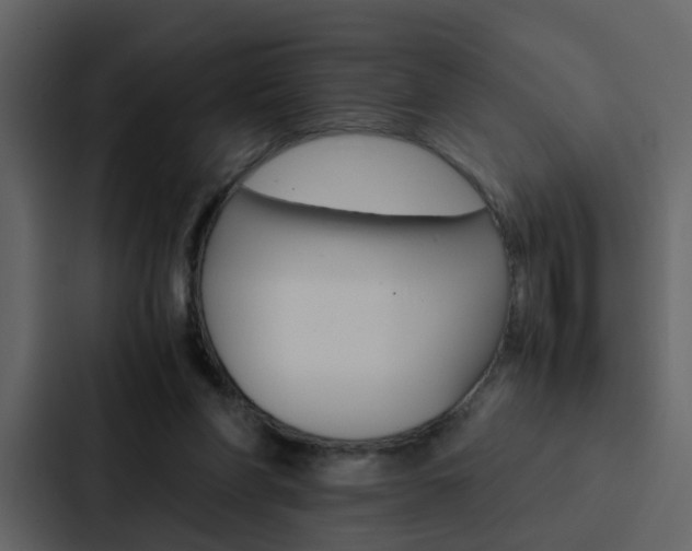 X0000088150206200705141058