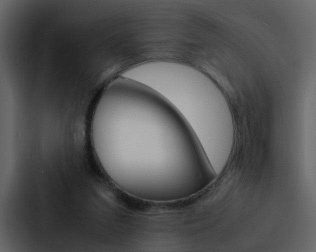 X0000088150207200705141058