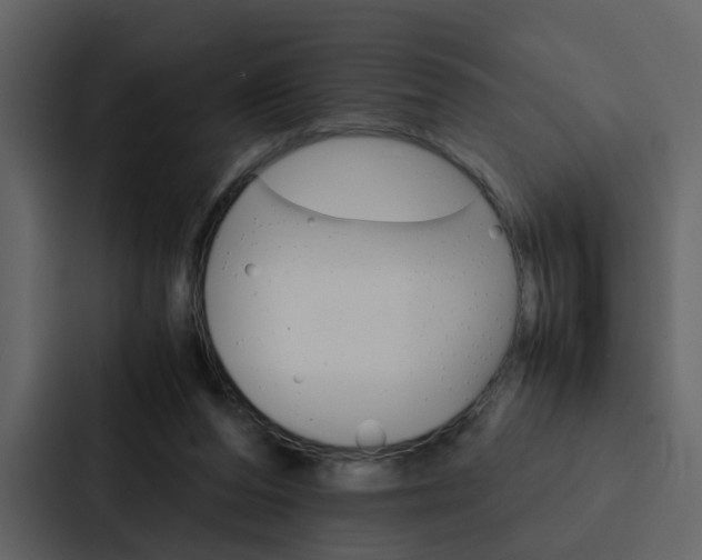 X0000088150208200705141058