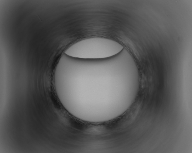 X0000088150210200705141058