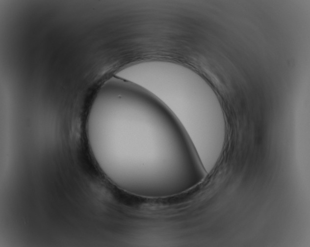 X0000088150211200705141058