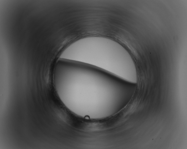 X0000088150212200705141058