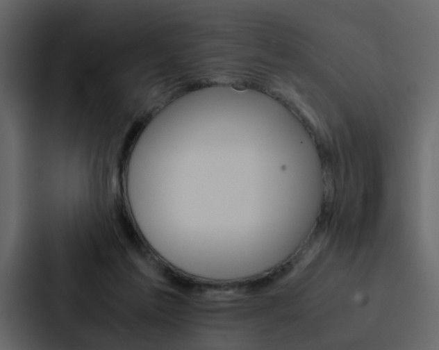 X0000088150213200705141058