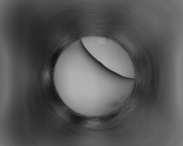X0000088150214200705141058
