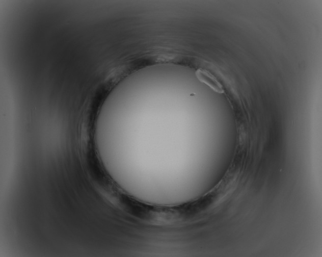 X0000088150215200705141058