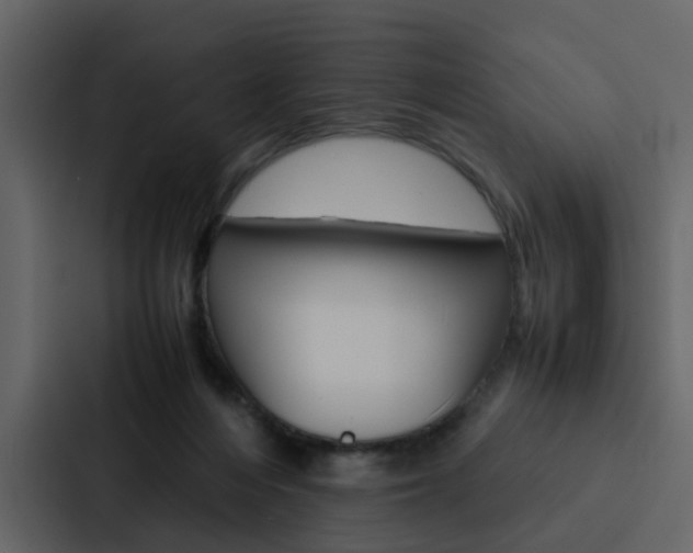 X0000088150216200705141058