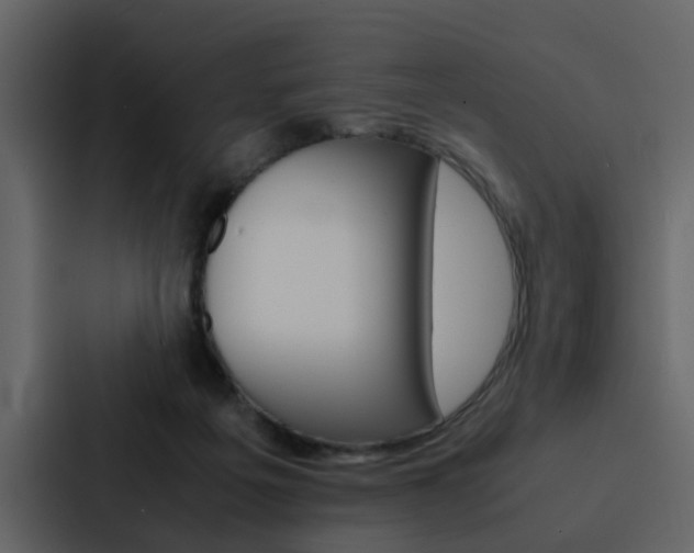 X0000088150217200705141058