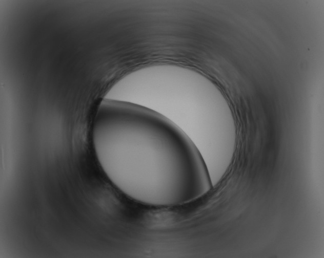 X0000088150219200705141058