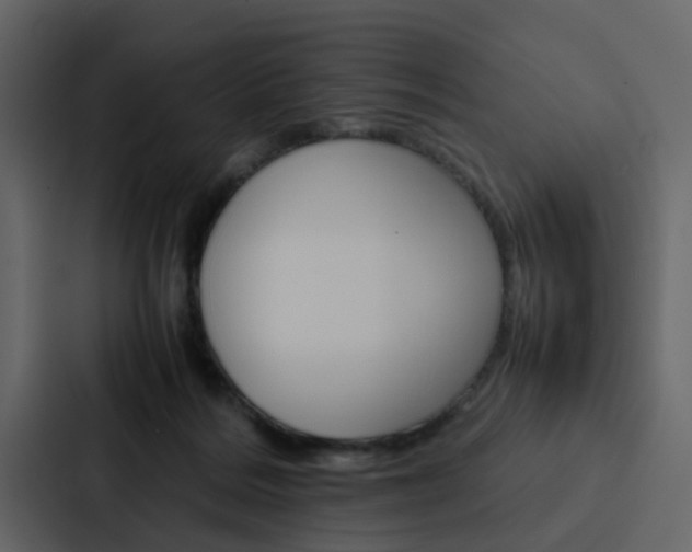 X0000088150220200705141058