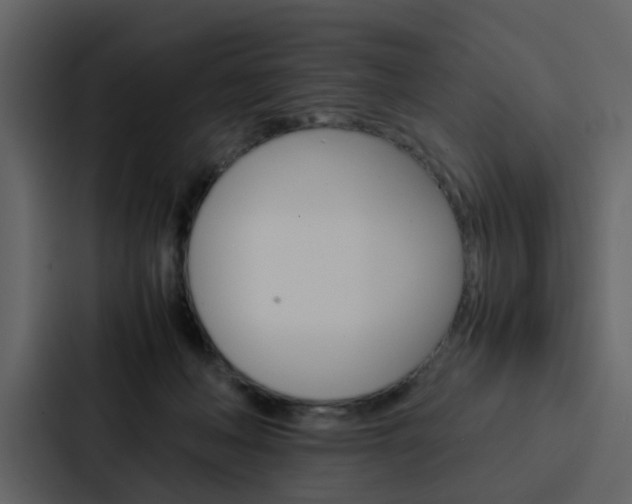 X0000088150222200705141058