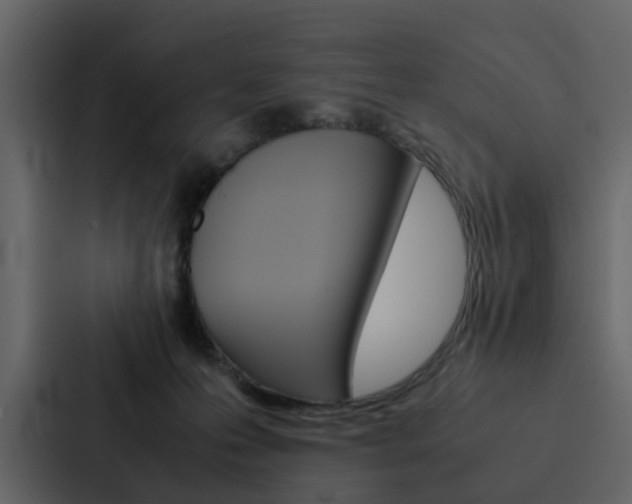X0000088150223200705141058