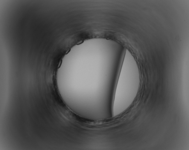 X0000088150225200705141058