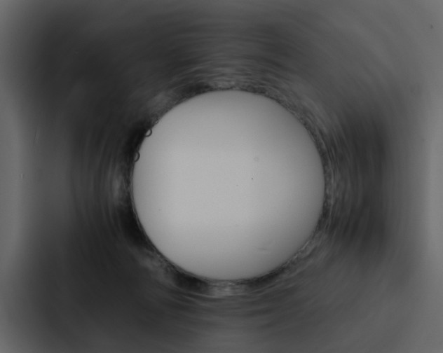 X0000088150226200705141058
