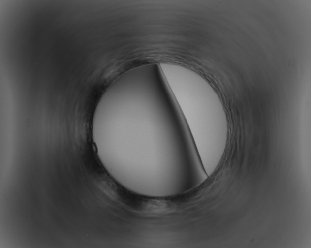 X0000088150227200705141058