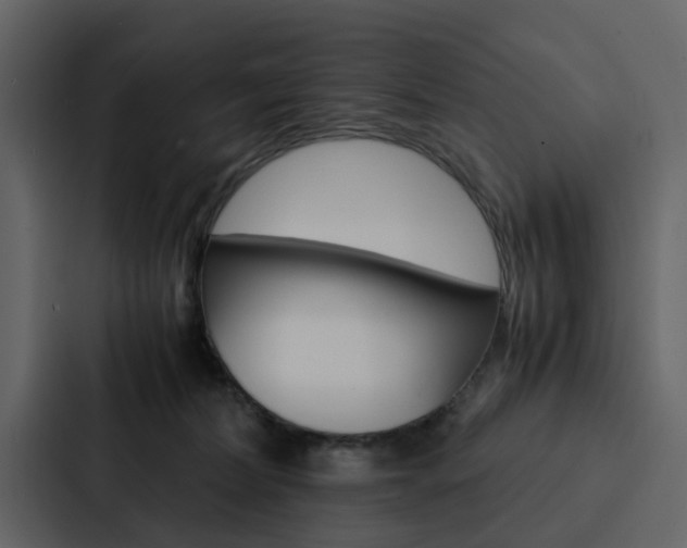 X0000088150228200705141058