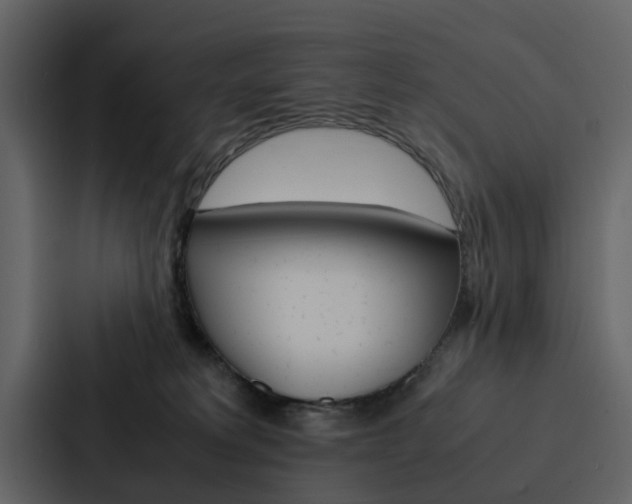 X0000088150229200705141058