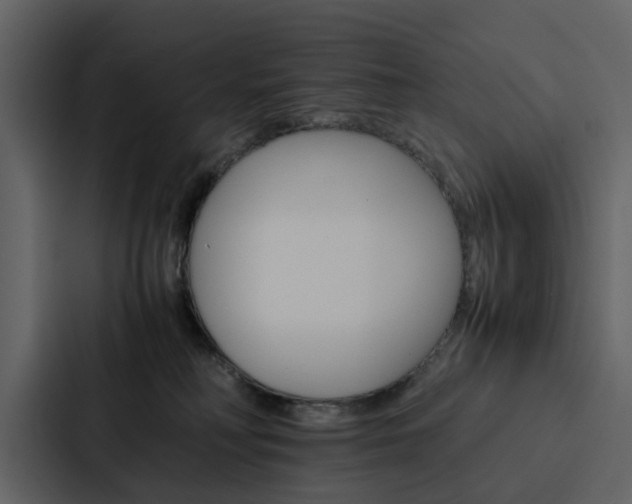 X0000088150230200705141058