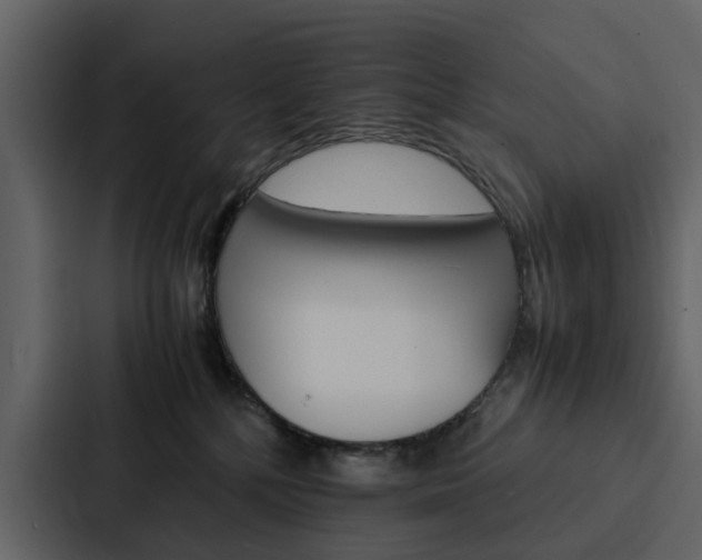 X0000088150232200705141058