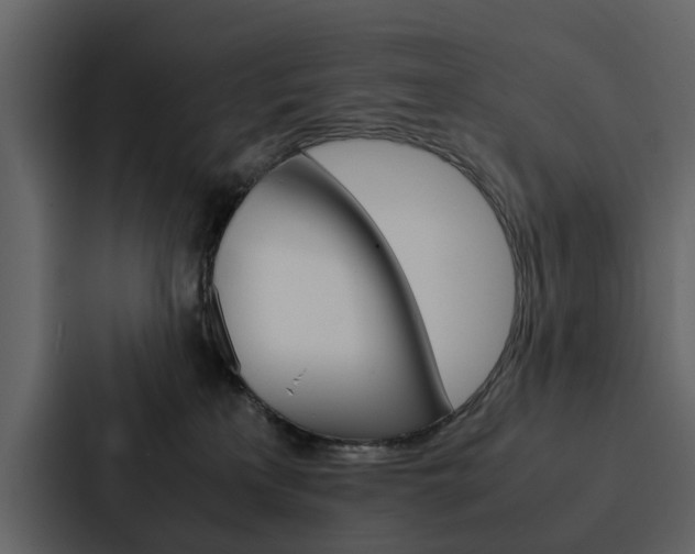 X0000088150233200705141058