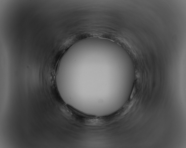 X0000088150237200705141058