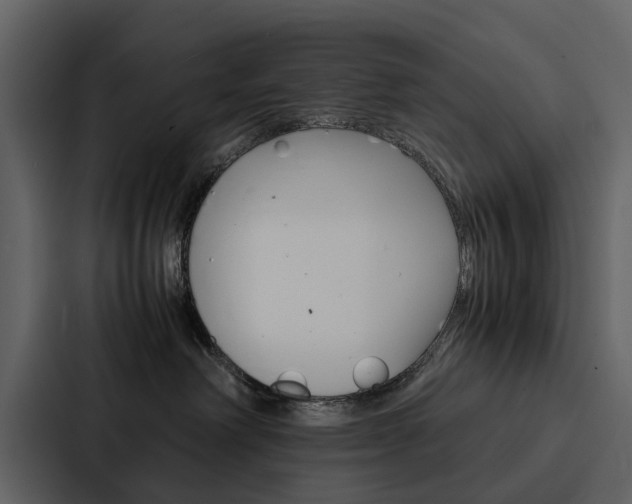 X0000088150238200705141058