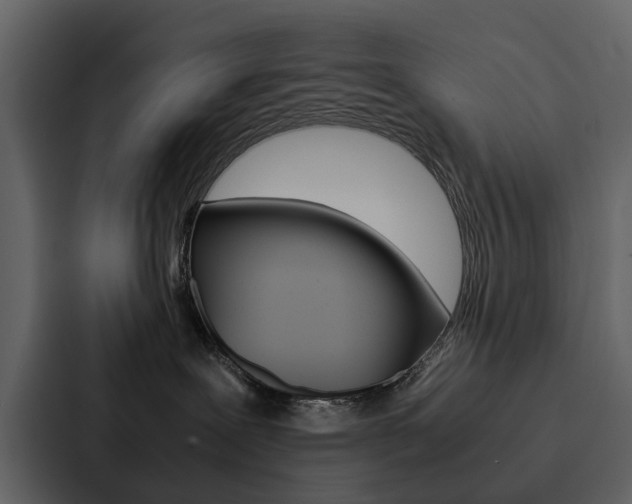 X0000088150239200705141058