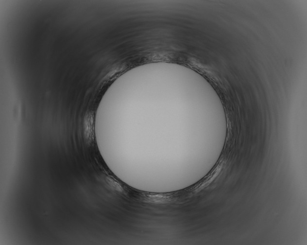 X0000088150240200705141057