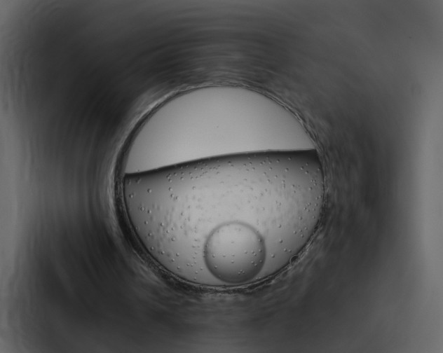 X0000088150242200705141057
