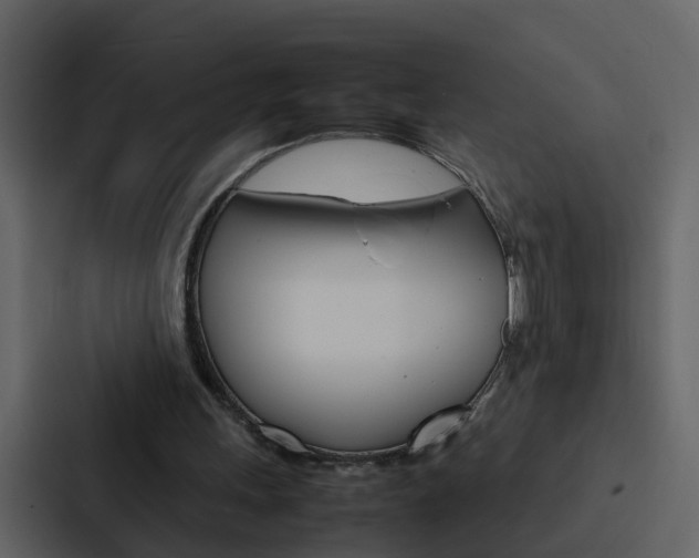 X0000088150243200705141057