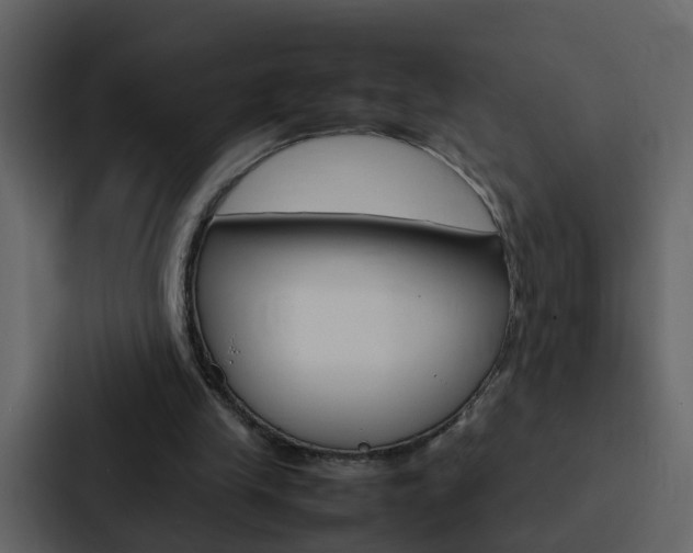 X0000088150245200705141057