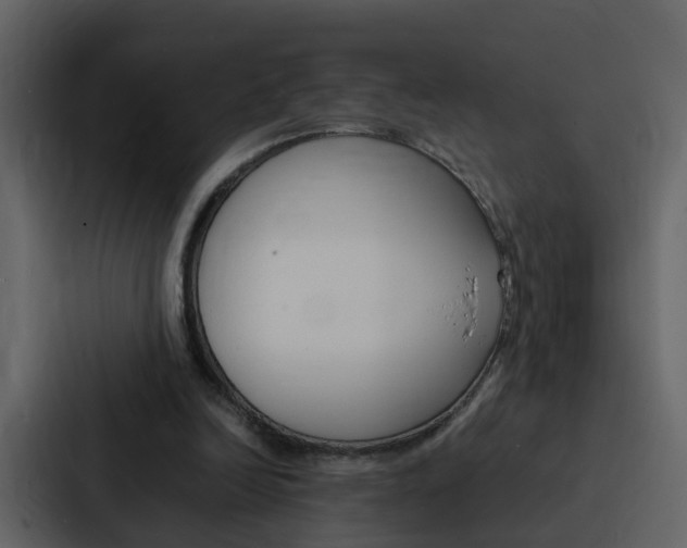X0000088150246200705141057