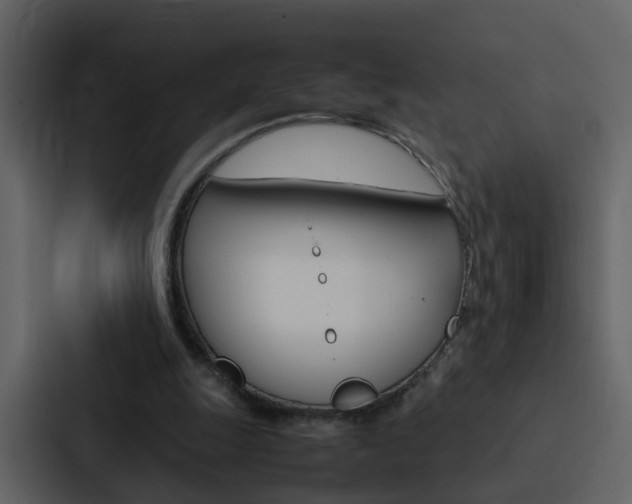 X0000088150247200705141057