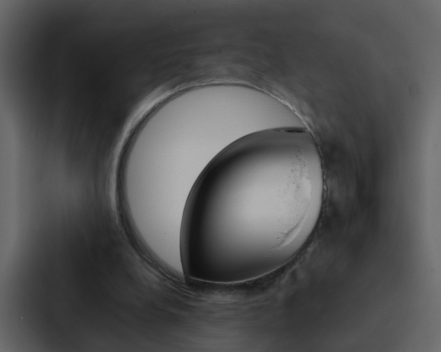 X0000088150248200705141057