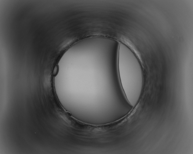 X0000088150249200705141057