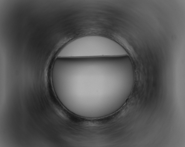 X0000088150250200705141057