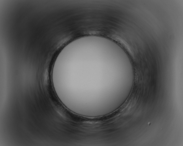X0000088150251200705141057