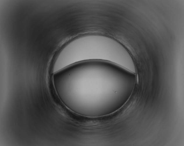 X0000088150252200705141057