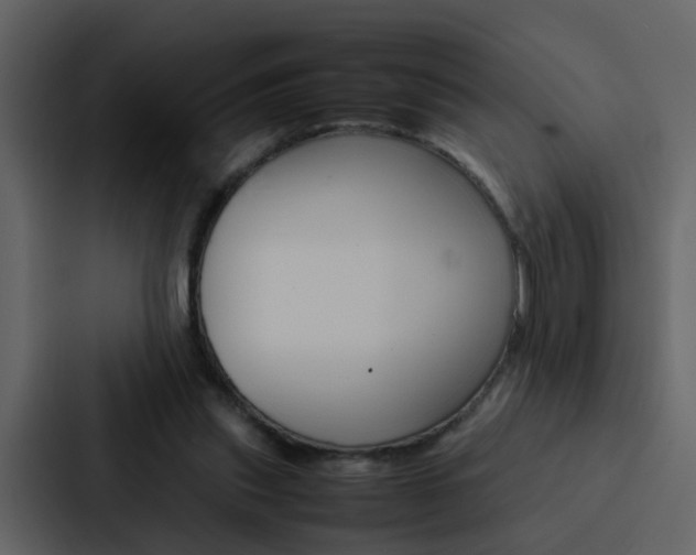 X0000088150253200705141057