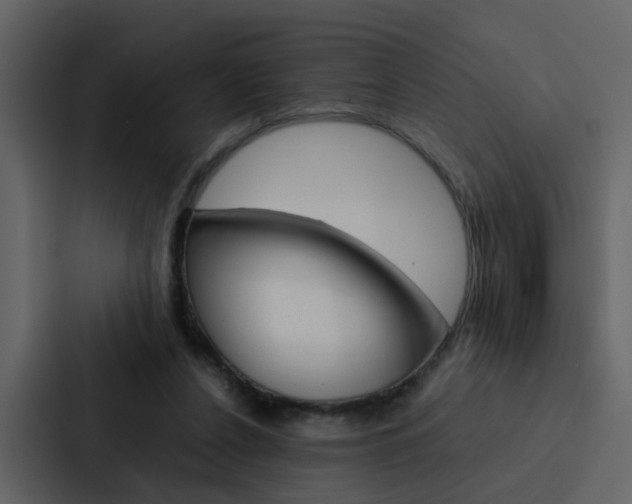 X0000088150256200705141057