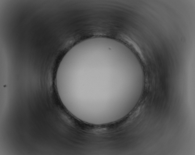 X0000088150257200705141057